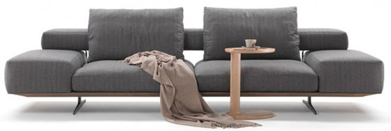 Schaum-mit hoher Dichte super bequemes Schnitt-Sofa Ergonomic Living Room Furniture ODM