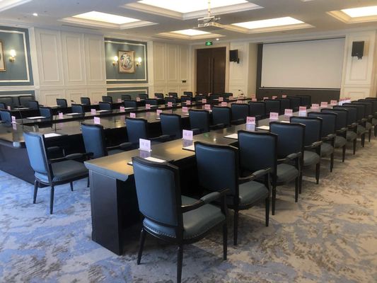 Fünf-Sternehotel-internationales Hotel-Gewohnheits-Speisetisch stellte abgrifffesten wasserdichten kundengebundenen Sofa Set ein