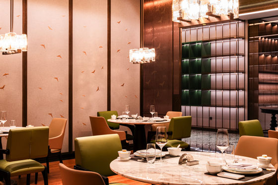 Vernis Fertigmöbel für Hotels und Restaurants mit verschiedenen Formen und modernem Stil